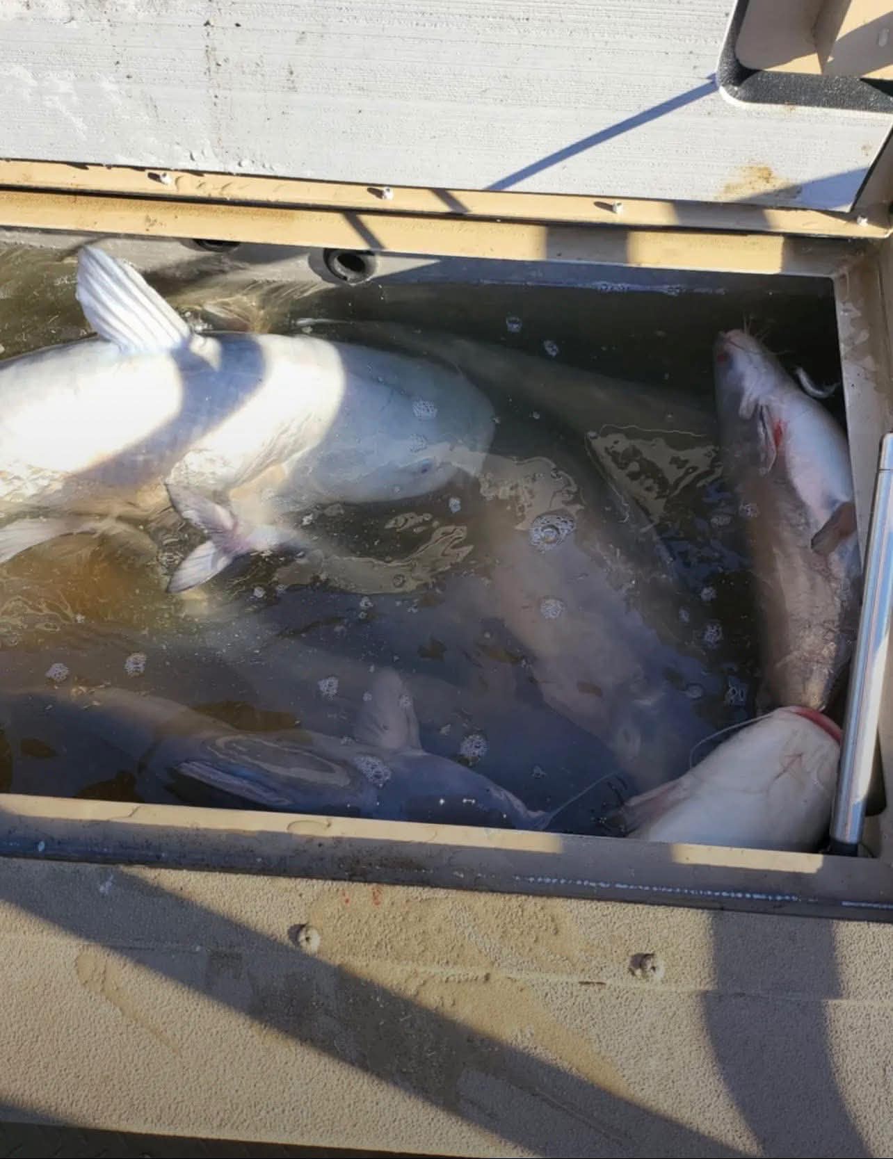 Misguided Fish Called to Fish | Guided Fishing Experiences