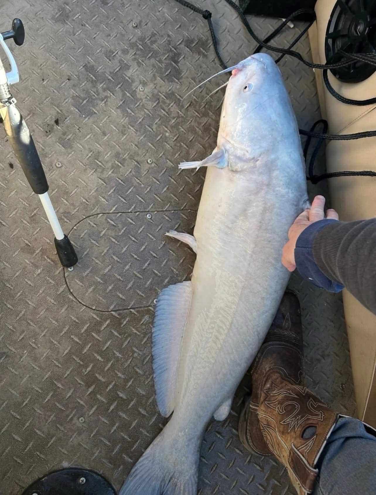 Misguided Fish Called to Fish | Guided Fishing Experiences